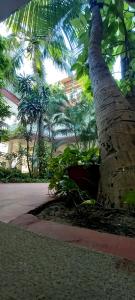 Zahrada ubytování Daphne Hotel