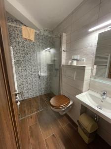 Koupelna v ubytování Hotel Gabreta