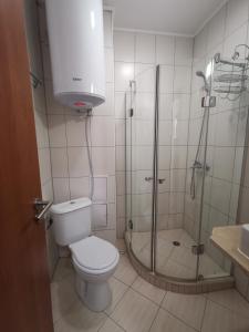 Koupelna v ubytování Sunny home by the lift in Bansko + 19 fotografií