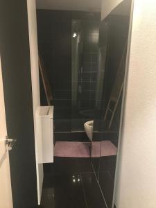 ein Badezimmer mit einem WC und einer Glastür in der Unterkunft DANIEL in Saint-Cyr-sur-Mer