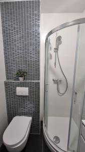 a bathroom with a toilet and a shower with a glass door at Two stars - Villa Sunce in Senj +25 photos