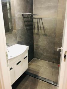 a bathroom with a sink and a glass shower at Swiss Central Luxury Apartment 132m2 in Sarajevo +24 photos