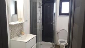 La salle de bains est pourvue d'une douche, d'un lavabo et de toilettes. dans l'établissement Apartament Mario, à Rădăuţi