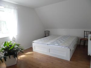 ジンメラートにあるSeeblick Ferienwohnung am Rursee - Nationalpark Eifelのベッドルーム1室(ベッド1台、植物付)