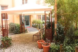Zahrada ubytování Hotel Sachsenhof
