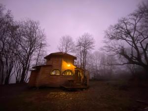 a small cabin in the middle of a forest at night at Les Cabanes De Pyrene in Cazarilh