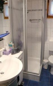 ein Bad mit einer Dusche, einem Waschbecken und einem WC in der Unterkunft Ferienhaus Nr 5, Typ A, Feriendorf Jägerpark, Bayerischer Wald in Viechtach