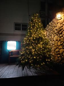 Un árbol de Navidad con luces delante de un edificio en Batwo Stay - For foreigners only en Seúl