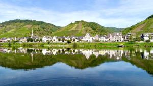 a town on the shore of a body of water at Hotel St. Georg in Ediger-Eller