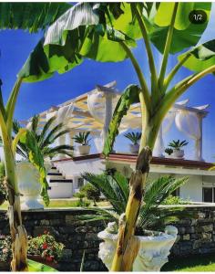 a white building with plants in front of it at L'incanto di Nausicaa in Ascea