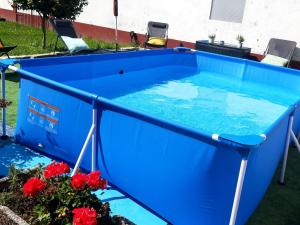 a blue pool table in a yard with flowers at Casa de Torres in Coirón