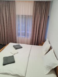 Afbeelding uit fotogalerij van Casa Sofia in Anina