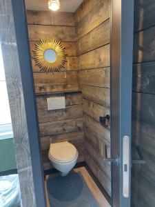 a bathroom with a toilet with a wooden wall at Tiny House in Westdorpe