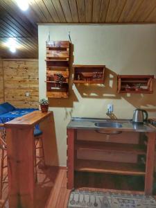 uma cozinha com um lavatório e uma bancada em Cabana Recanto do Physalis em Rio Rufino