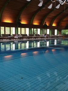 a large swimming pool with chairs in a building at Villa Dolne Saliby in Dolné Saliby