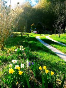 a garden with flowers in the grass next to a path at Casuta Bucuriei in Hunedoara