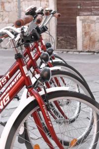 een rij fietsen geparkeerd naast elkaar bij Pomalo Inn in Vis