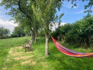 Usk Valley Shepherd's Hut外面的花园