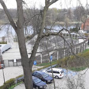 two cars parked in a parking lot next to a tree at Przy Amfiteatrze in Kętrzyn