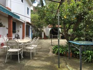 A garden outside Casa Las Violetas