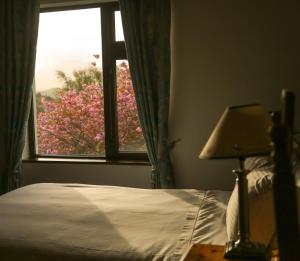 Voodi või voodid majutusasutuse Ben Breen House B&B toas