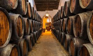 Fotografie z fotogalerie ubytování Villamarta Boutique Rooms v destinaci Jerez de la Frontera