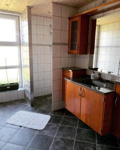 eine kleine Küche mit einem Waschbecken und einem Fenster in der Unterkunft OJ Home in Vojens