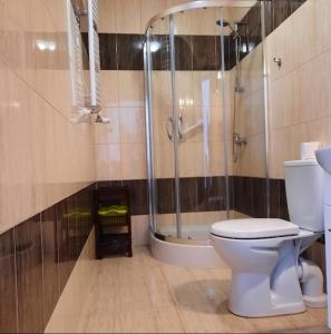 La salle de bains est pourvue d'une douche et de toilettes. dans l'établissement Przystanek Podgórze, à Duszniki-Zdrój