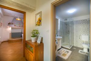 a bathroom with a shower and a sink and a toilet at House Braida in Bale +27 photos