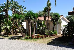 a house with palm trees and plants in front of it at C'era Una Volta in Ricadi