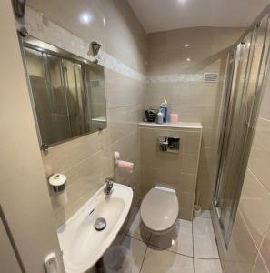 W łazience znajduje się toaleta, umywalka i prysznic. w obiekcie Jolie appartement Nice proche mer et aéroport Une chambre plus salon avec cuisine w Nicei