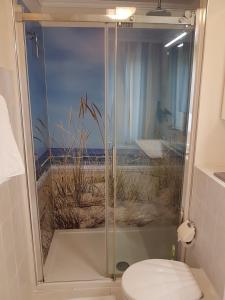 a bathroom with a shower with a toilet in it at Ferienanlage Mönchgut, Ferienhaus Mönchgut in Göhren