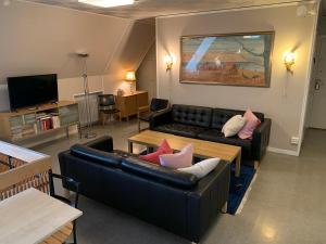 a living room with two couches and a television at Nyköpings Vandrarhem in Nyköping