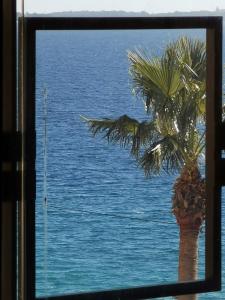 a view of the ocean from a window with a palm tree at Appartement en bord de mer in Cannes