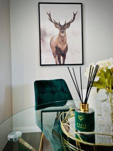 Fotografie z fotogalerie ubytování DeerHome Apartment v destinaci Czarny Dunajec