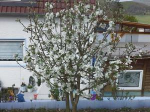 a tree with white flowers in front of a house at Ferienwohnung galina in Rockenhausen