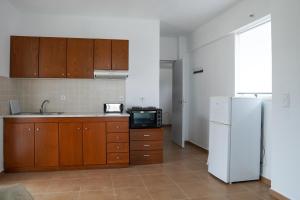 una cucina con frigorifero bianco e forno a microonde di Aelia House a Città di Kos
