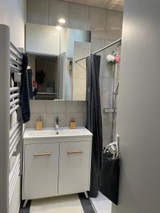 een badkamer met een witte wastafel en een spiegel bij Bel appartement chic et cosy. in Martres-de-Veyre