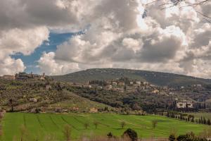 a hill with a town on top of a green field at El Patio Hotel in Corciano +18 photos