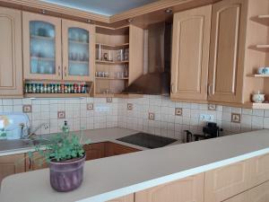 uma cozinha com armários de madeira e um vaso de plantas sobre um balcão em LARIX Apartman em Sárvár