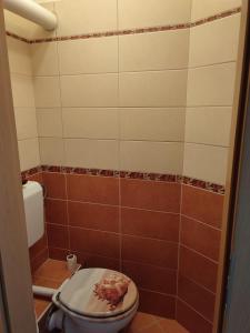 a bathroom with a toilet in a room at LARIX Apartman in Sárvár