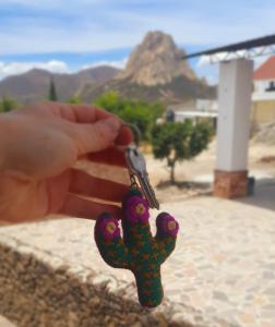 una persona sosteniendo un pequeño cactus en su mano en Hotel Beraka en Bernal