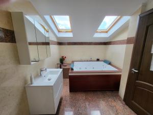 a bathroom with a large tub and a large skylight at Mega Mall Monza Super Spa in Bucharest
