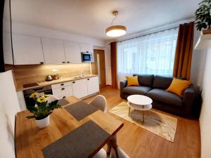 Kuchyň nebo kuchyňský kout v ubytování Apartmány Olšovská