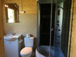 uma casa de banho com um WC, um chuveiro e um lavatório. em Neptun em Międzychód