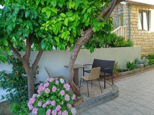 eine Terrasse mit 2 Stühlen und einem Tisch unter einem Baum in der Unterkunft Bugenvilija in Duće