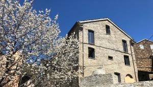 un edificio con un árbol florido delante de él en Superbe maison dans village au coeur de la Corse A casa Suttana, en Verdese