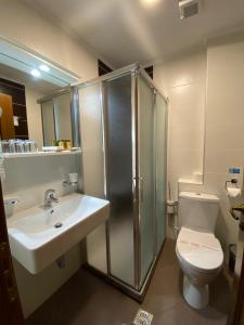Koupelna v ubytování Hotel Argjiro