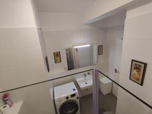 Vonios kambarys apgyvendinimo įstaigoje Riverside apartment by the Danube