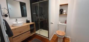 ein Badezimmer mit Dusche, Toilette und Waschbecken in der Unterkunft "Ô Tour's Angels" RABELAIS in Tours + 10 Fotos